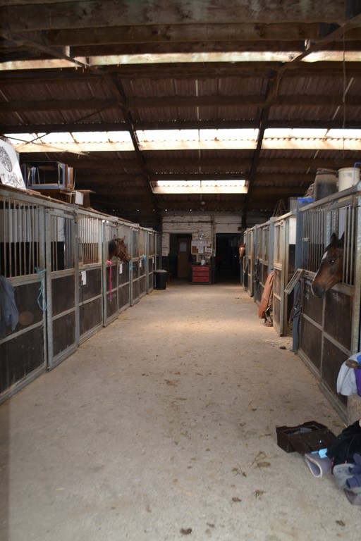 Les Boxes